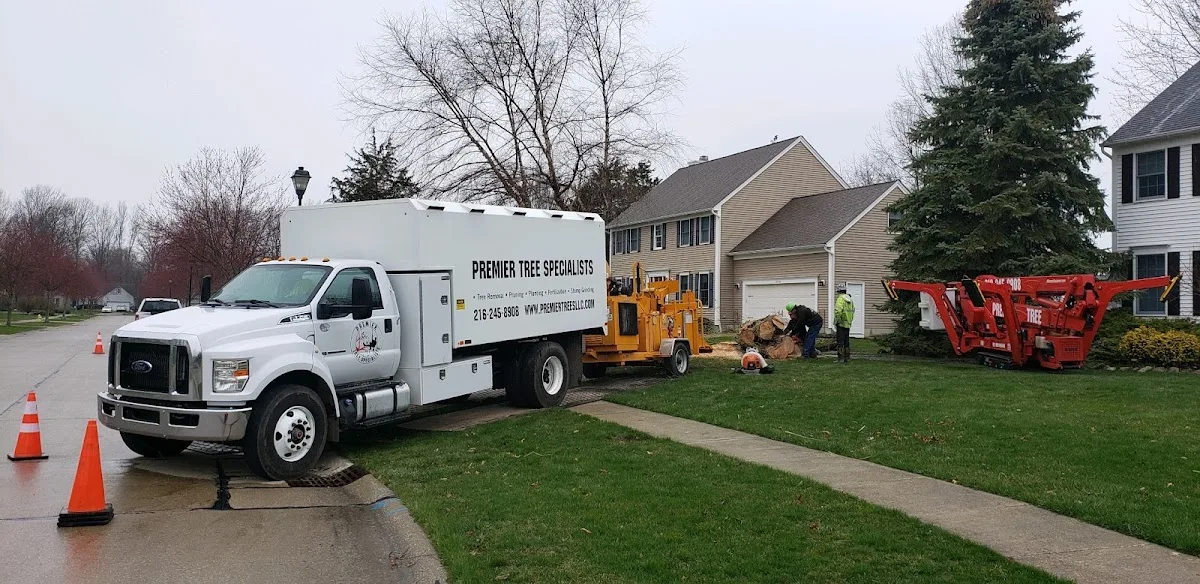 Premier Tree Specialists work site