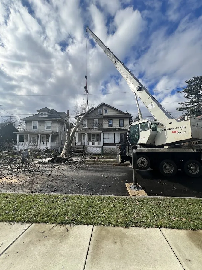 Prestige Tree Service