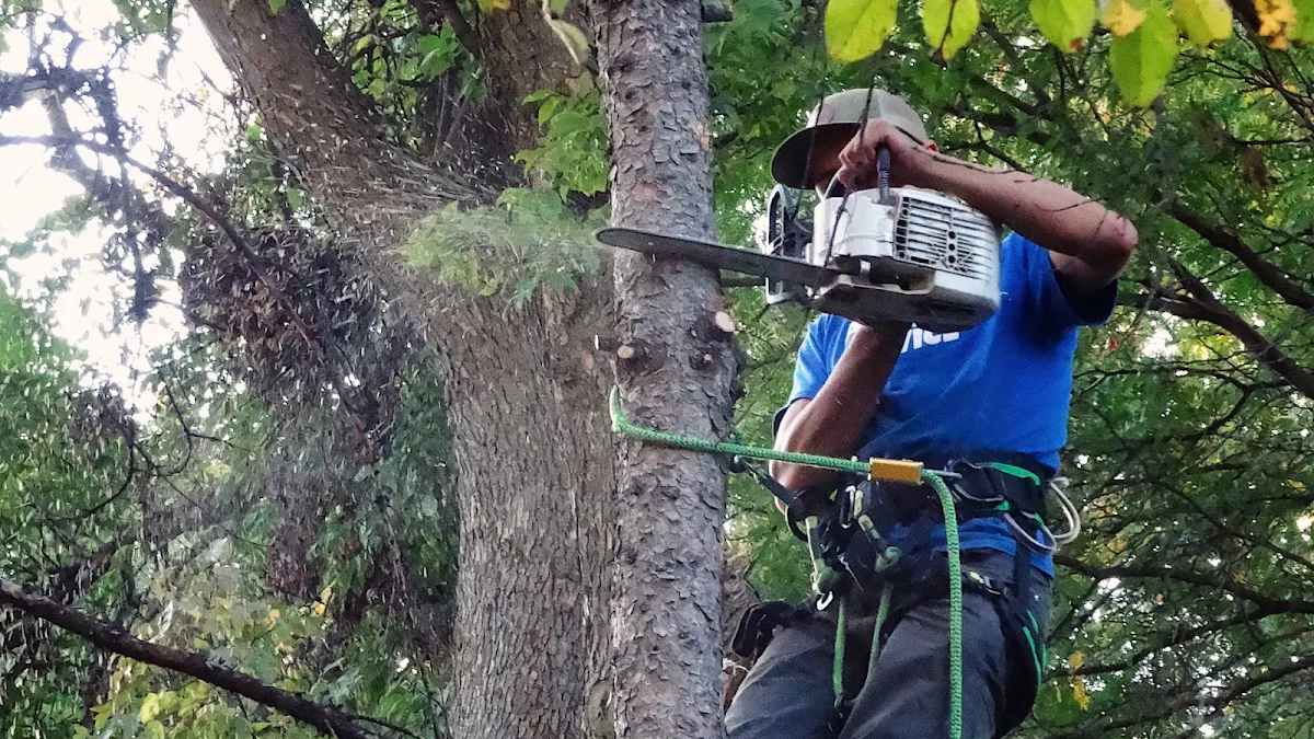 PRIMARY TREE SERVICE work site