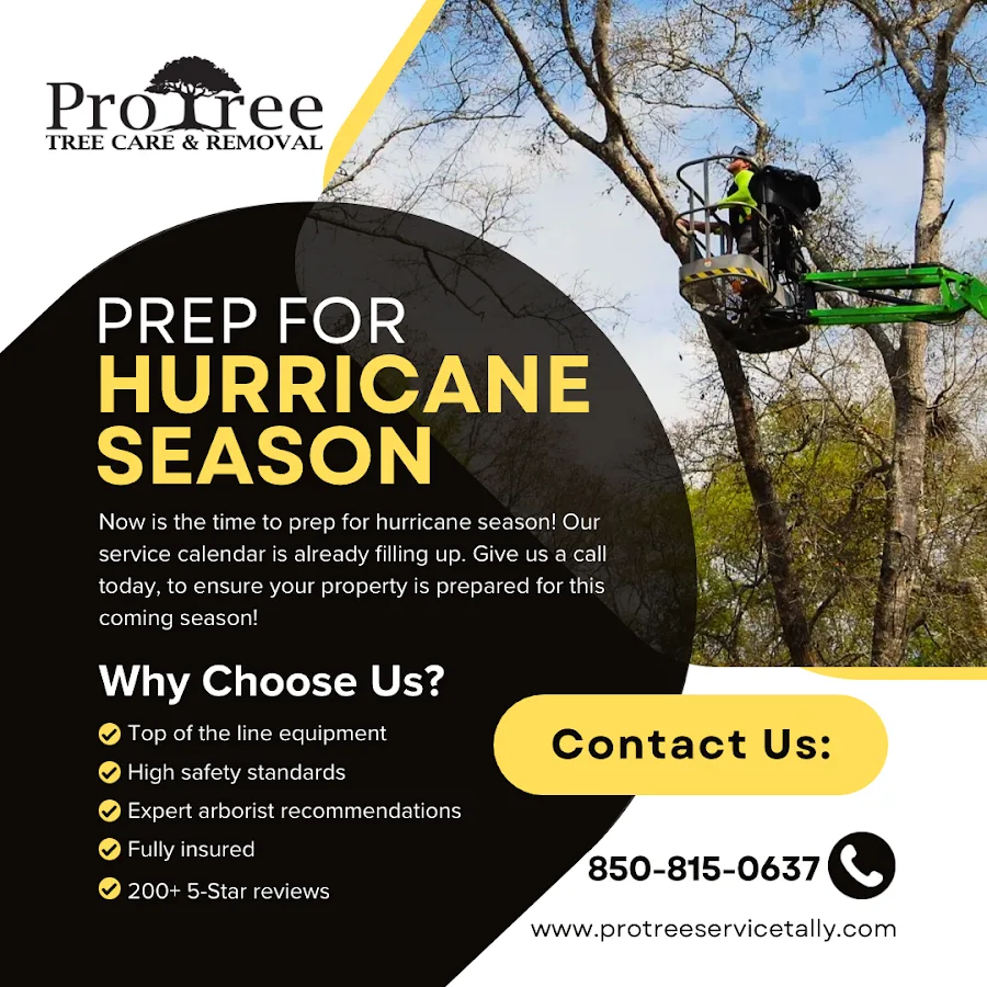 Pro Tree Service
