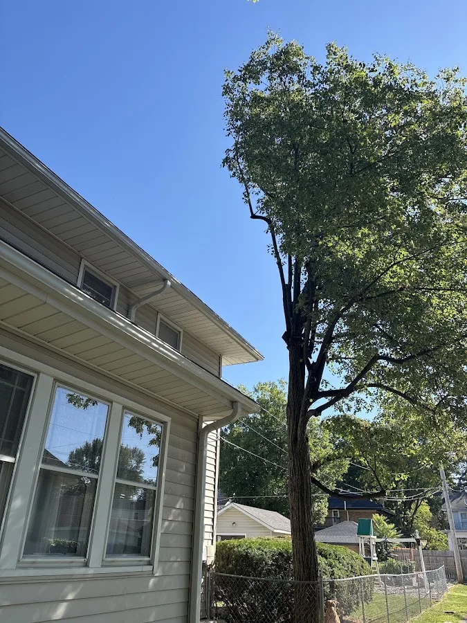 R&T Tree Experts, LLC