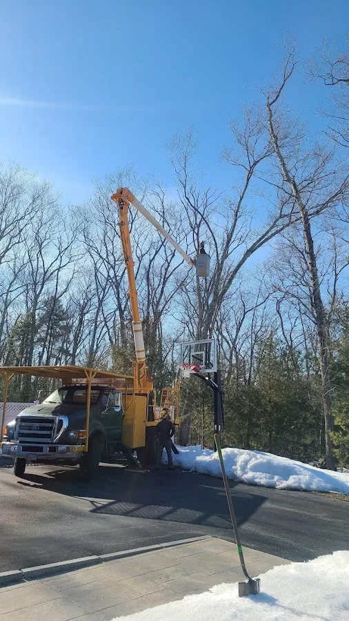 R William Emmott Arborist work site