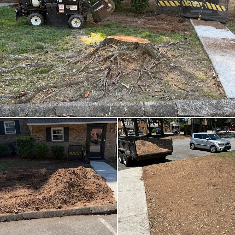 Raleigh Stump Grinding