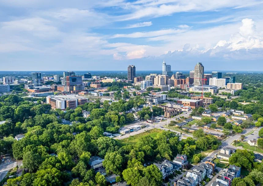 Raleigh Tree Service gallery 4