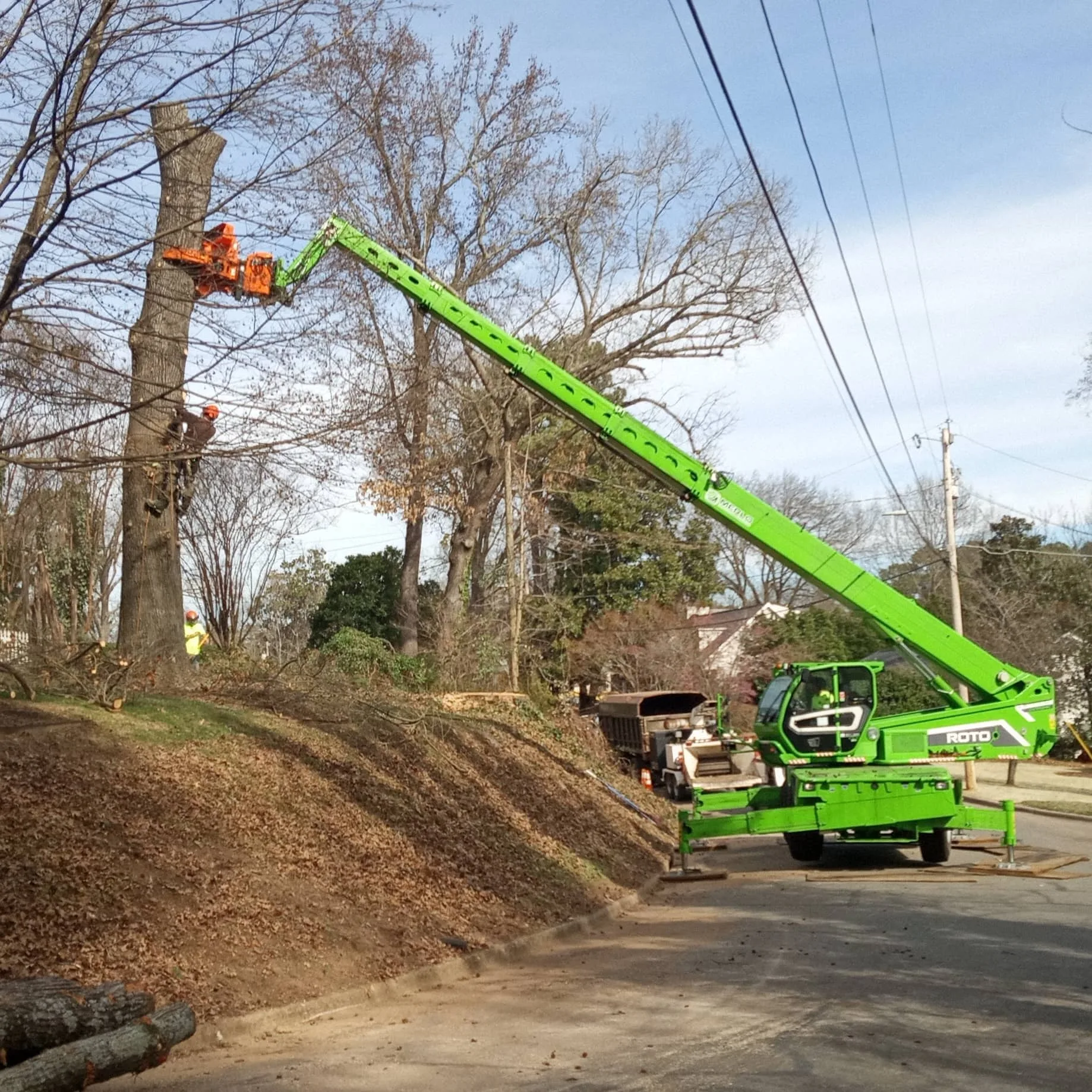 Raleigh Tree Service gallery 6