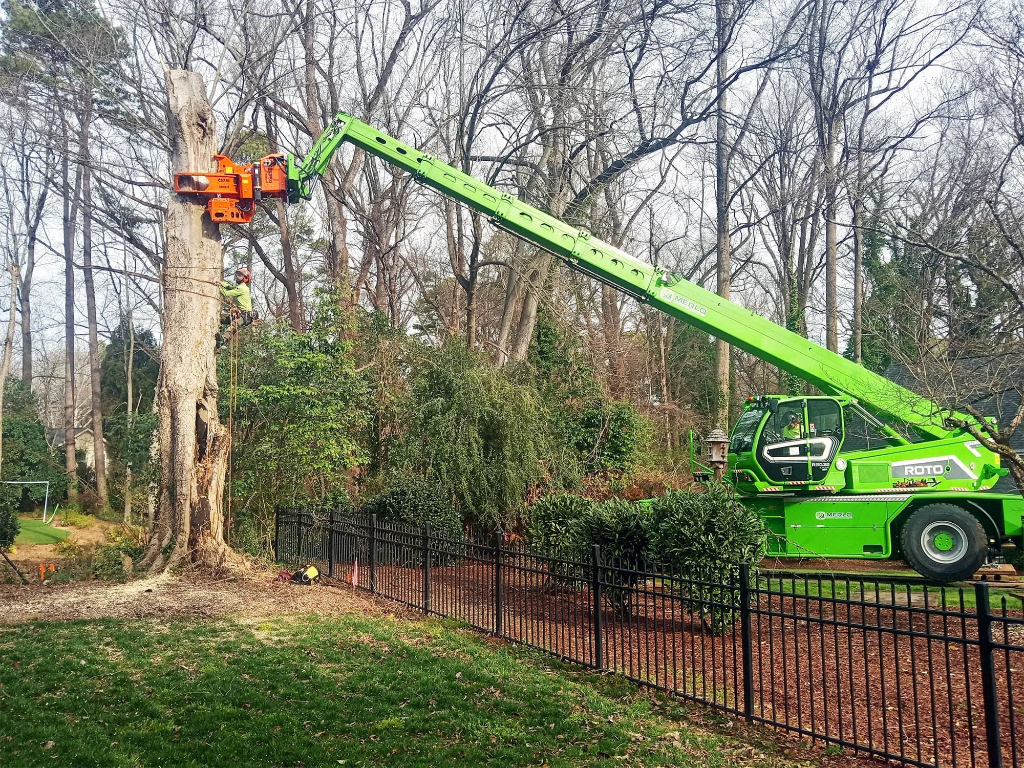 Raleigh Tree Service gallery 7