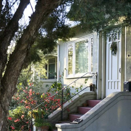 Raleigh Tree Service gallery 8