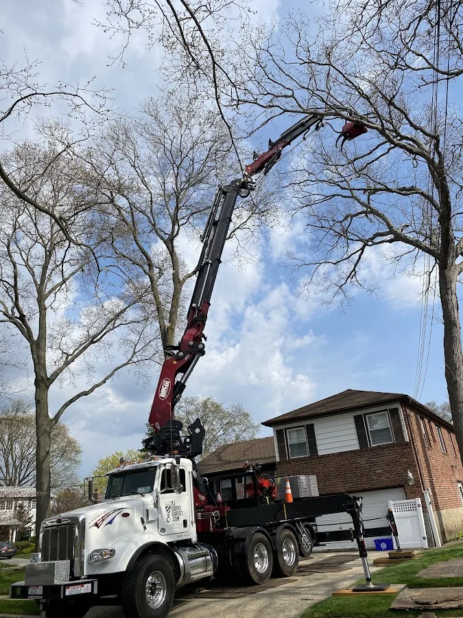 Ramalho Tree Service gallery 2