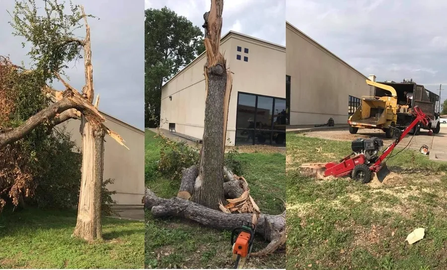 Ramirez Tree Service gallery 6