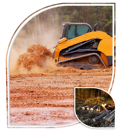 Rb Tree Services gallery 7