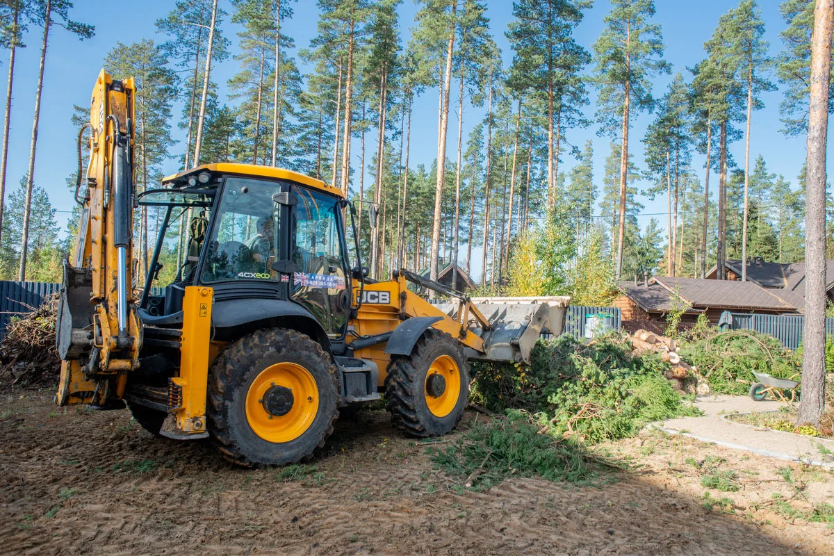 Rb Tree Services gallery 8