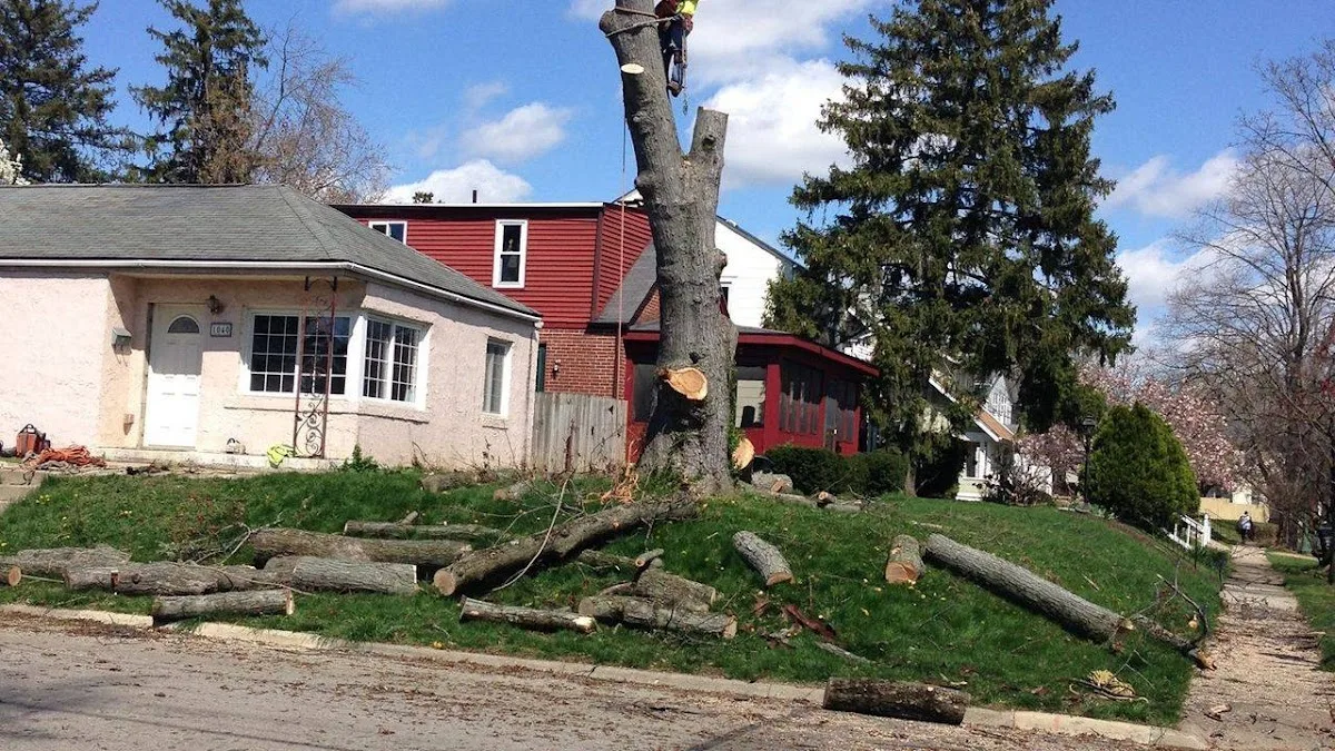 Real sky tree services llc