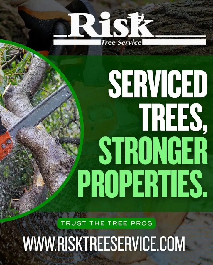 Risk Tree Service, LLC gallery 2