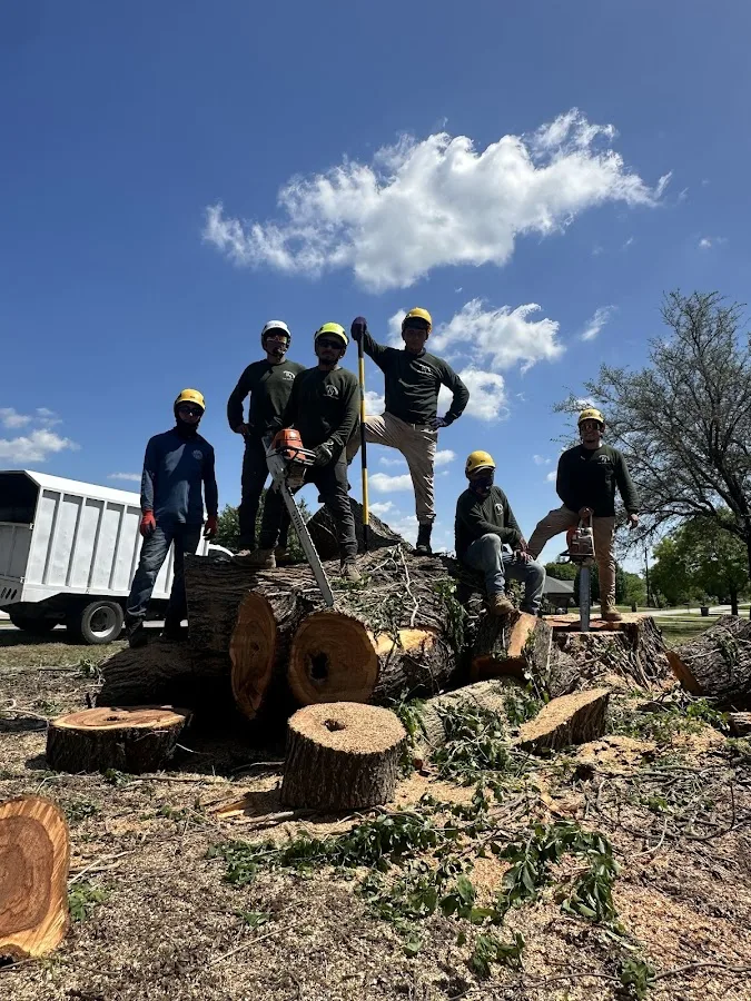 RJ Tree Service