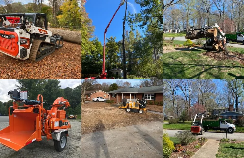 Rlayang Tree Service LLC gallery 2