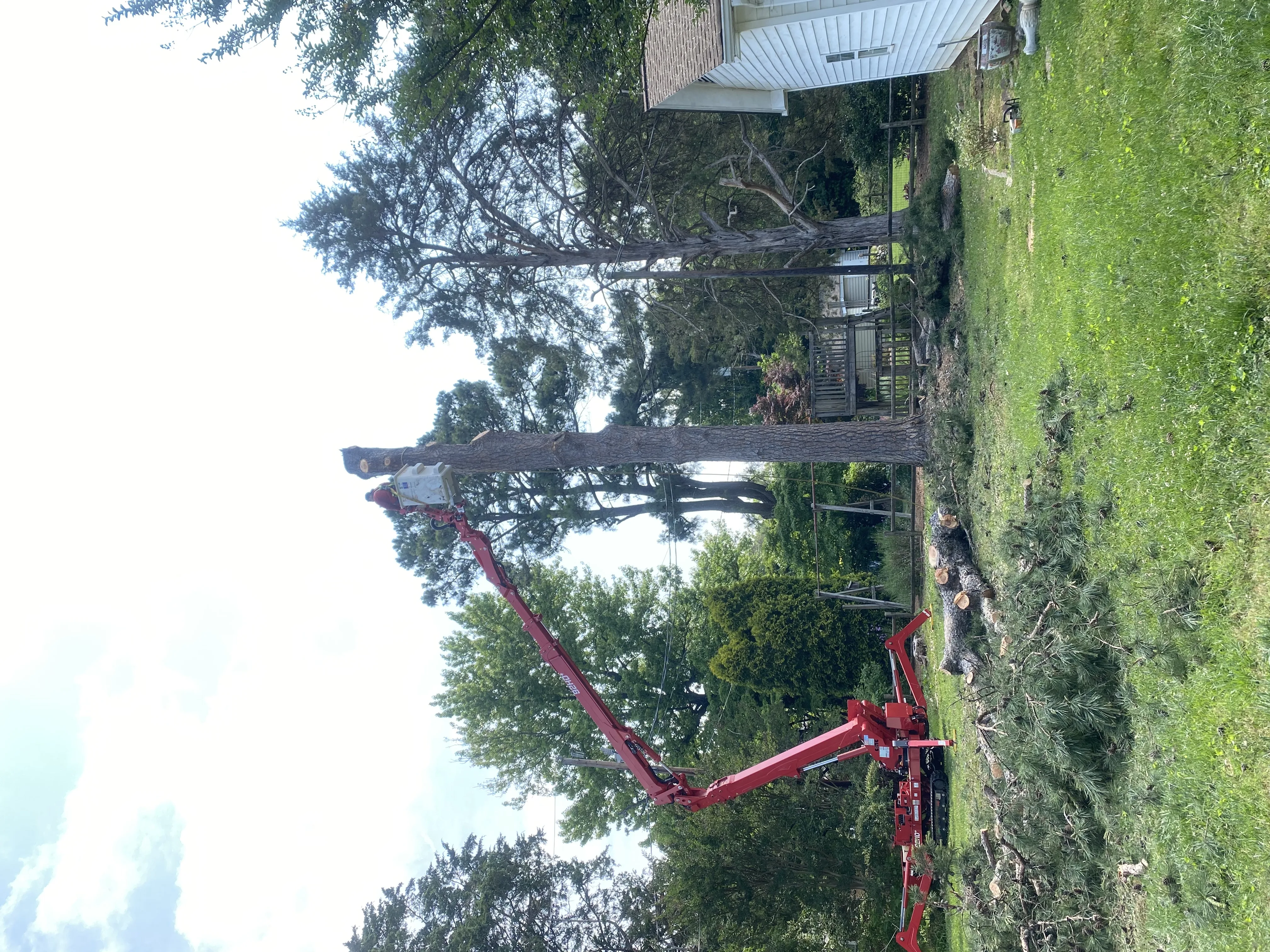 Rlayang Tree Service LLC gallery 4