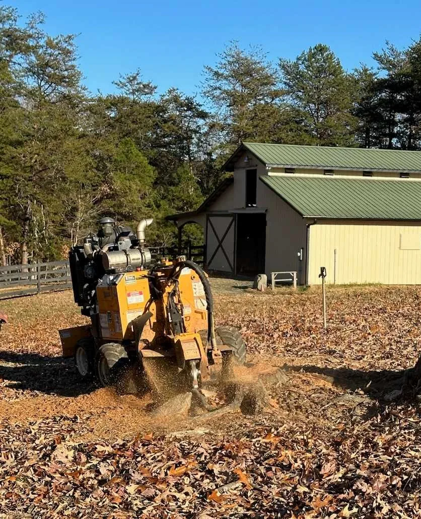 Rlayang Tree Service LLC gallery 6