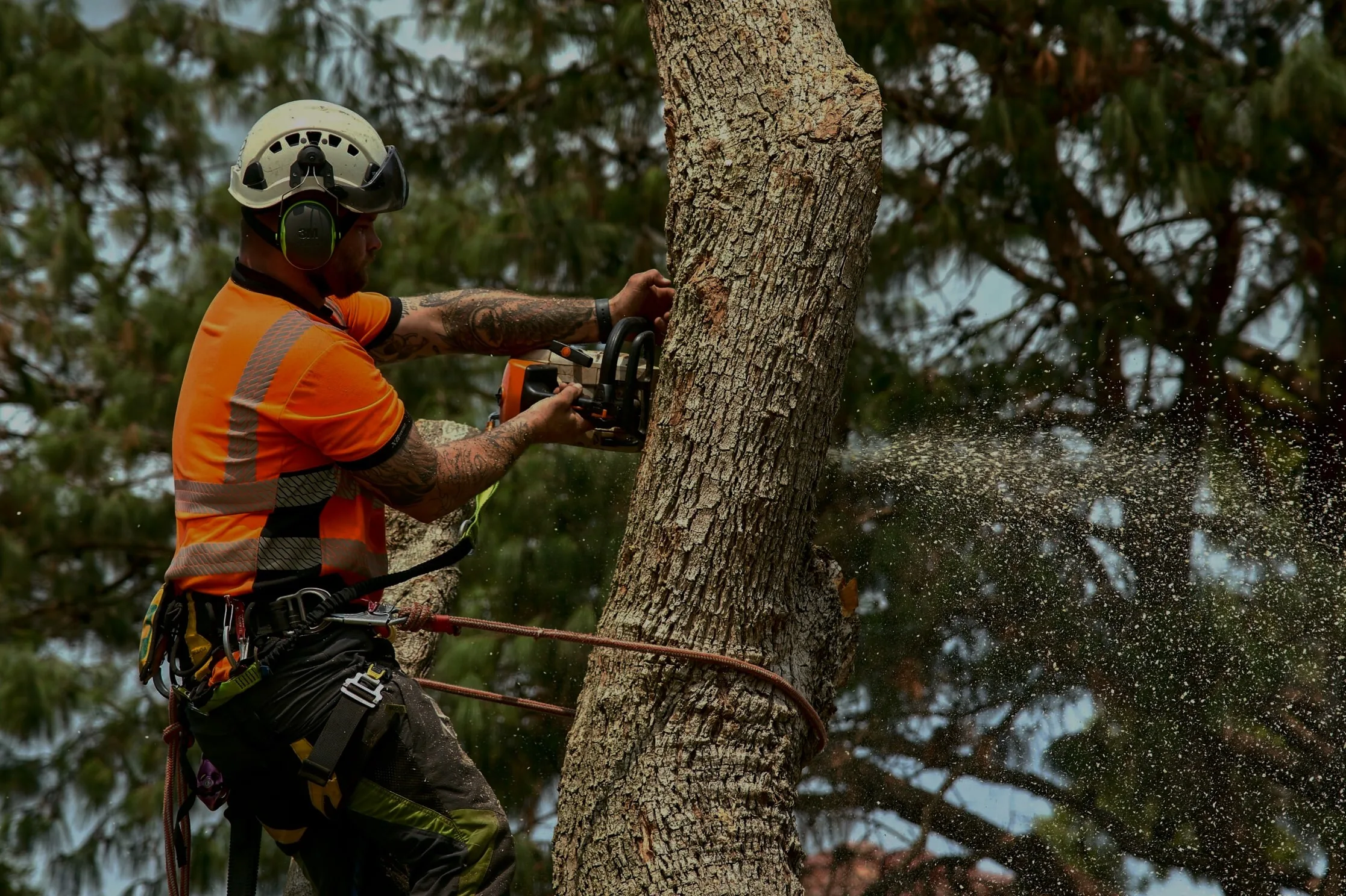 Rlayang Tree Service LLC gallery 7