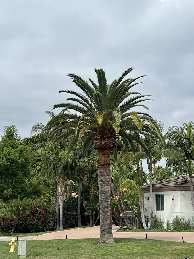 RmTreeCare