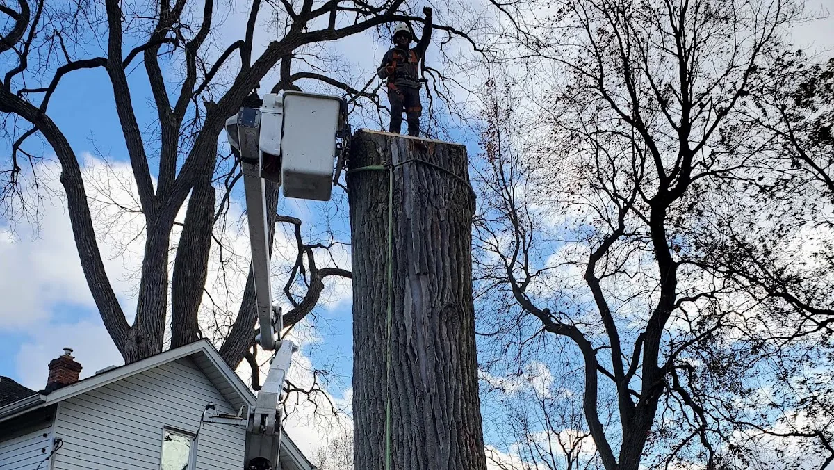 Roque Tree Service