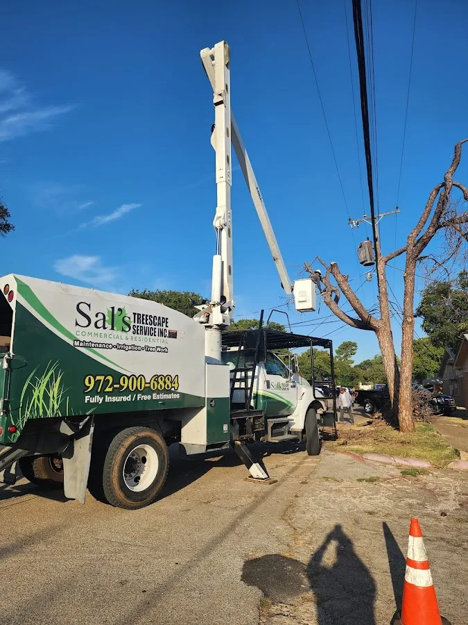 Sal's Landscape & Tree Service