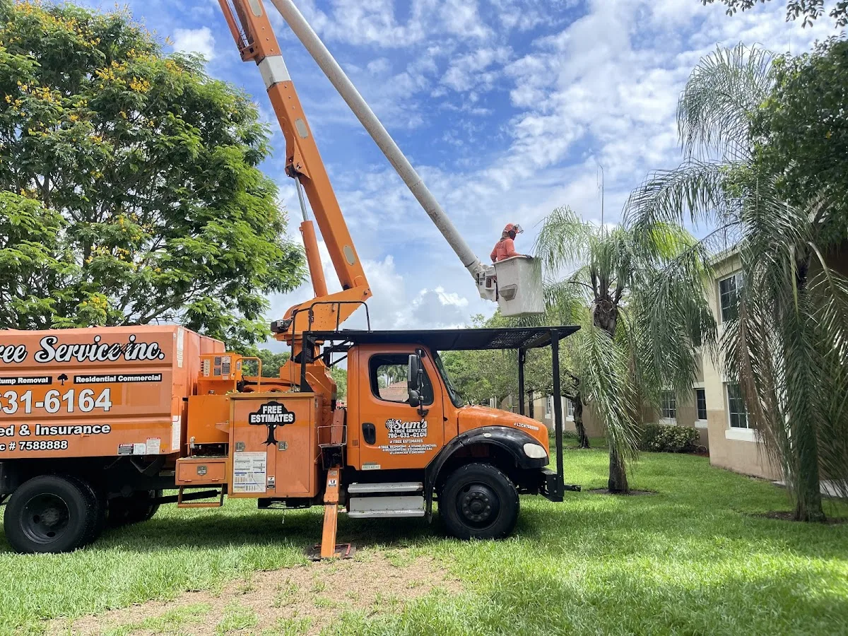 Sam's Tree Service