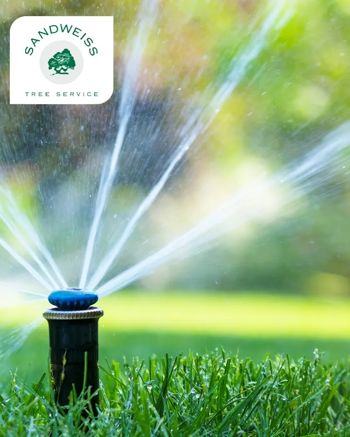 Sandweiss Tree Service, Inc. gallery 2