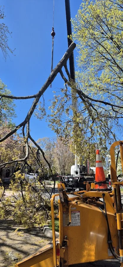 Santa Elena Tree Service LLC