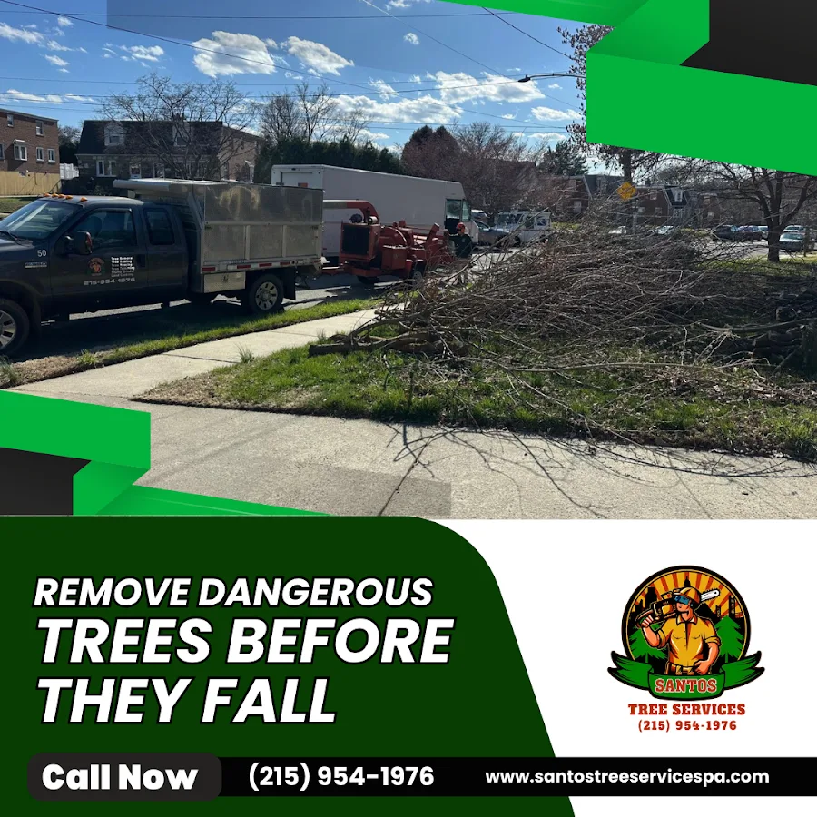 Santos Tree Services work site