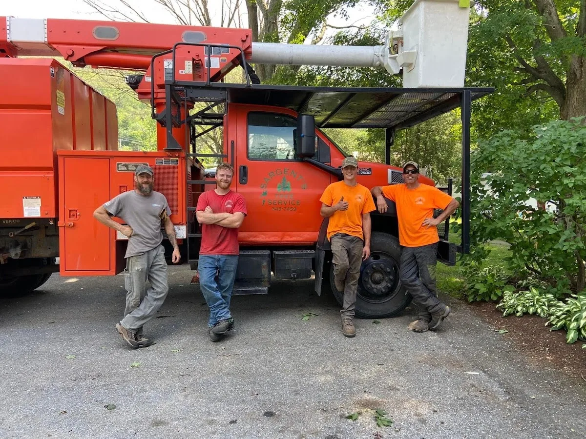 Sargent’s Tree Service in Lincoln, VT: Decide What to Do About an Ash Tree