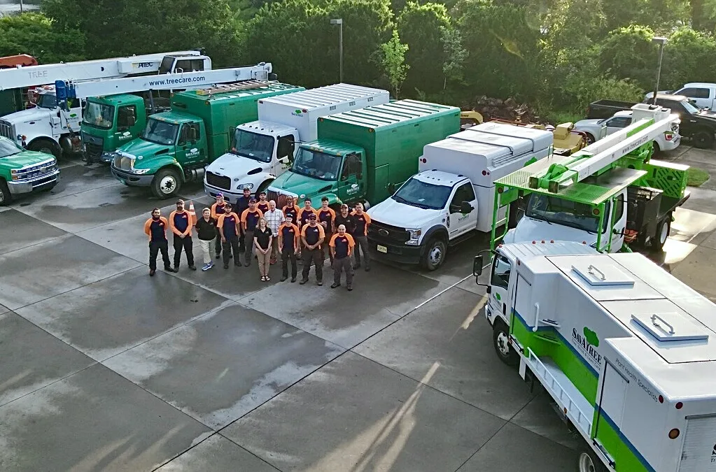 SavATree - Tree Service & Lawn Care