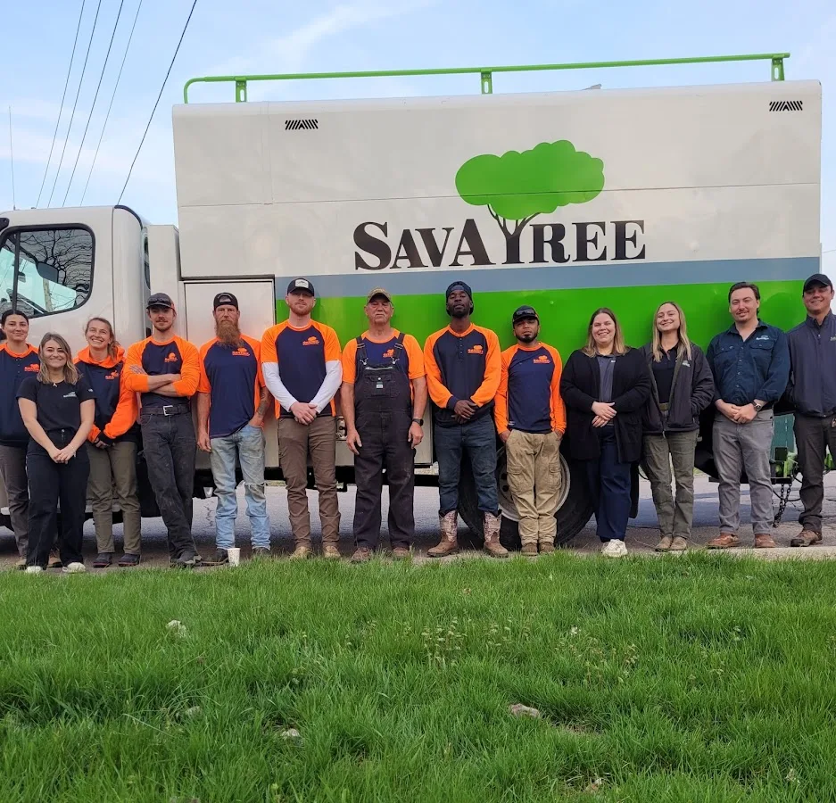 SavATree - Tree Service & Lawn Care gallery 2