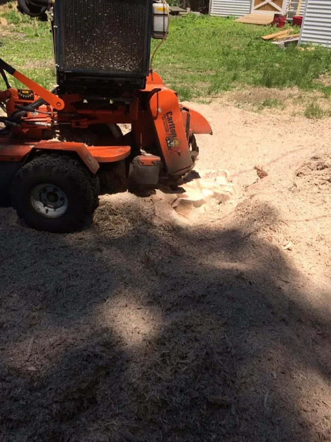 Schiavi Stump Grinding LLC