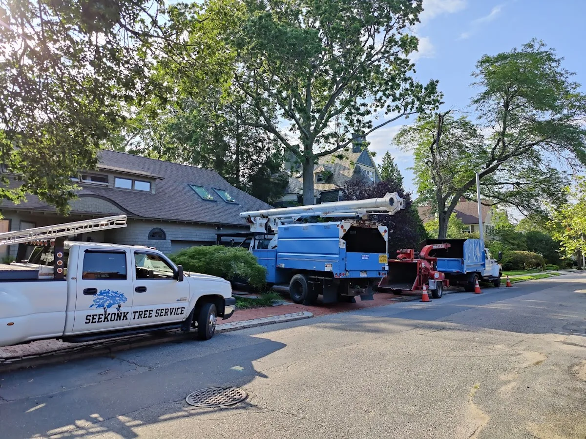 Seekonk Tree Service
