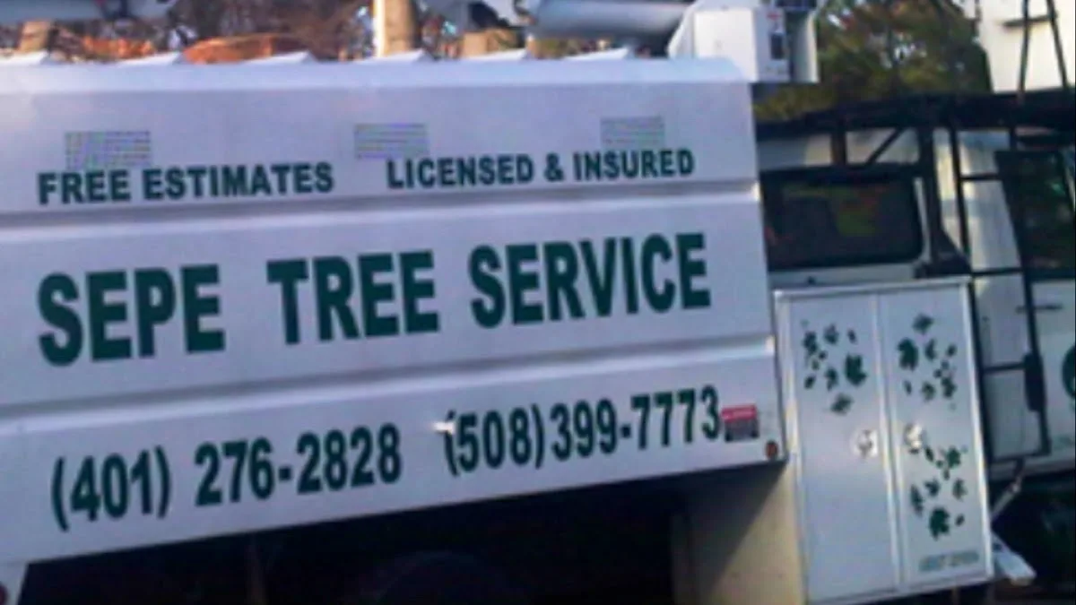 Sepe Tree Service work site