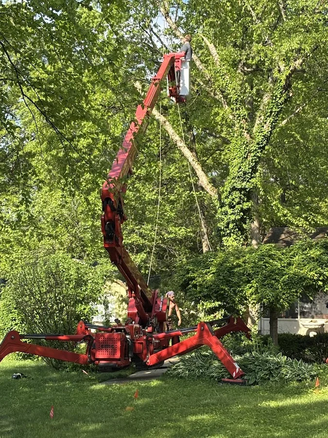 Sheltons Tree Service LLC