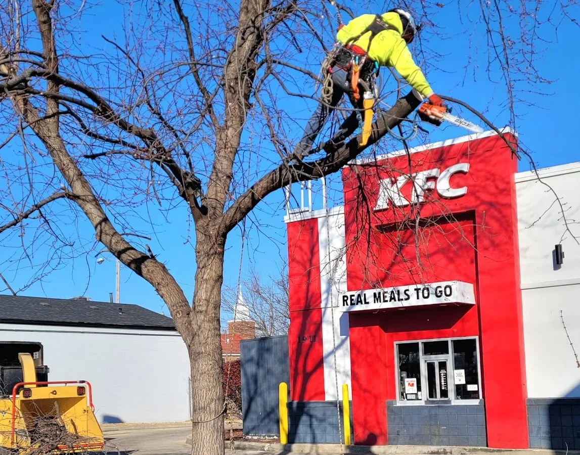 Shults Tree Service