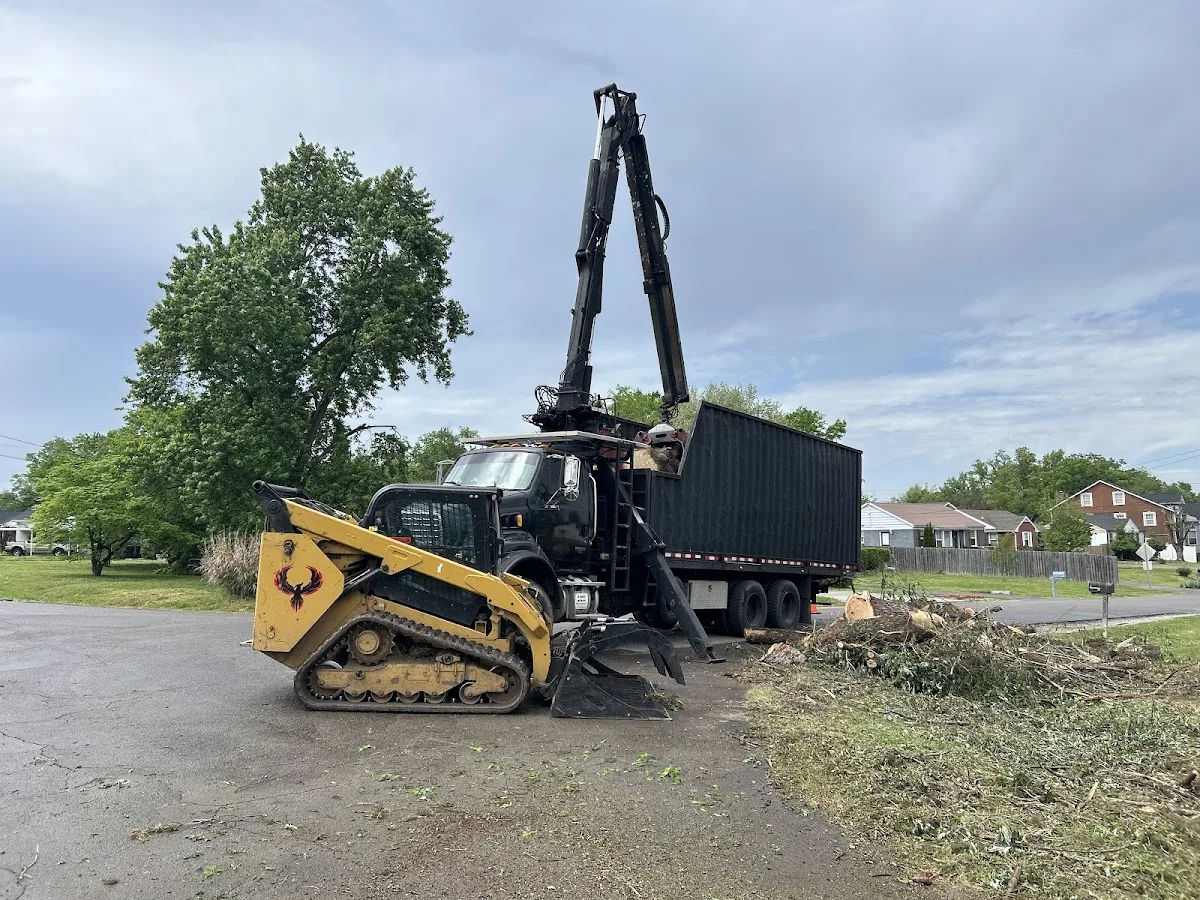 Sky Tree Services LLC work site