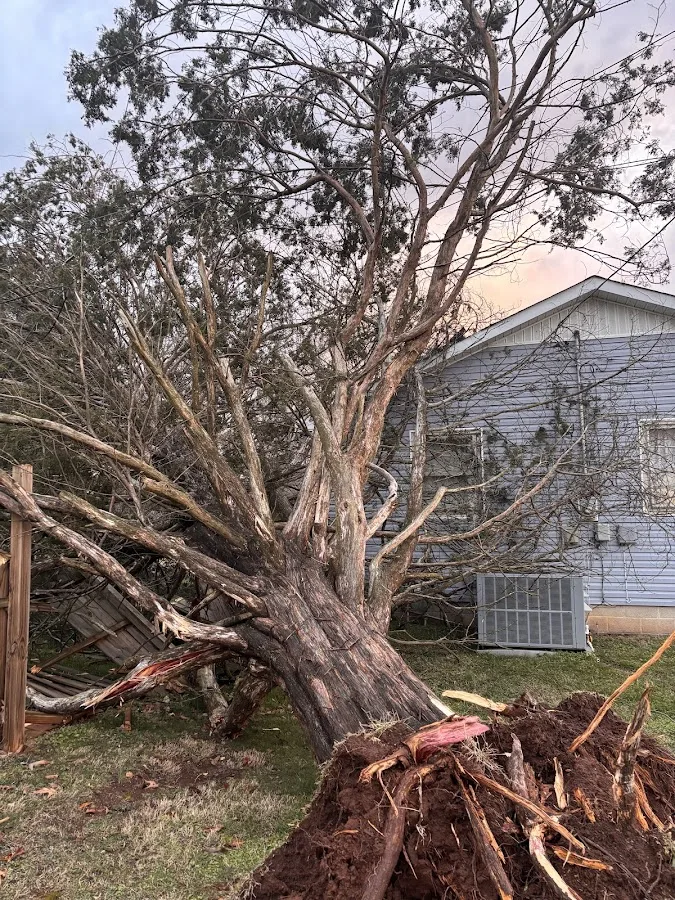 Smoky Mountain Tree Service