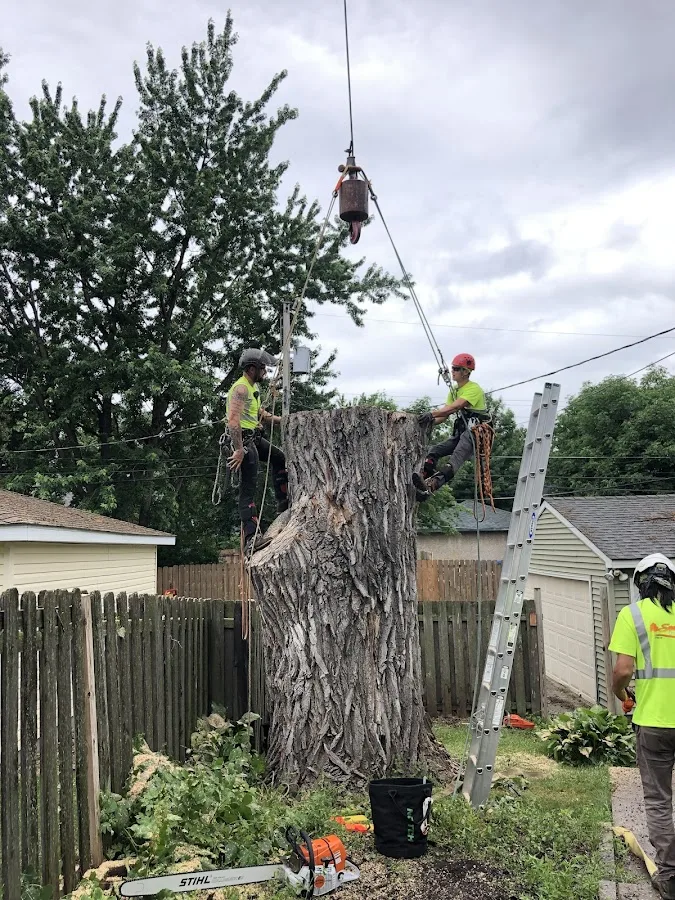 Sorenson Tree Service