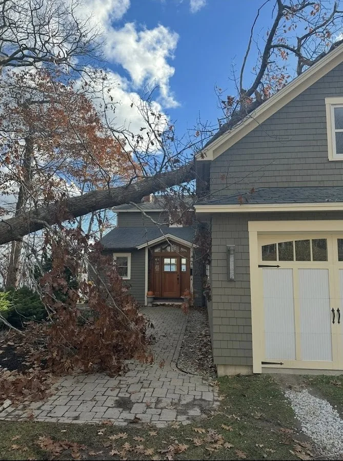 Southern Maine Tree in Scarborough: Turning Tree Concerns Into a Clear Scope