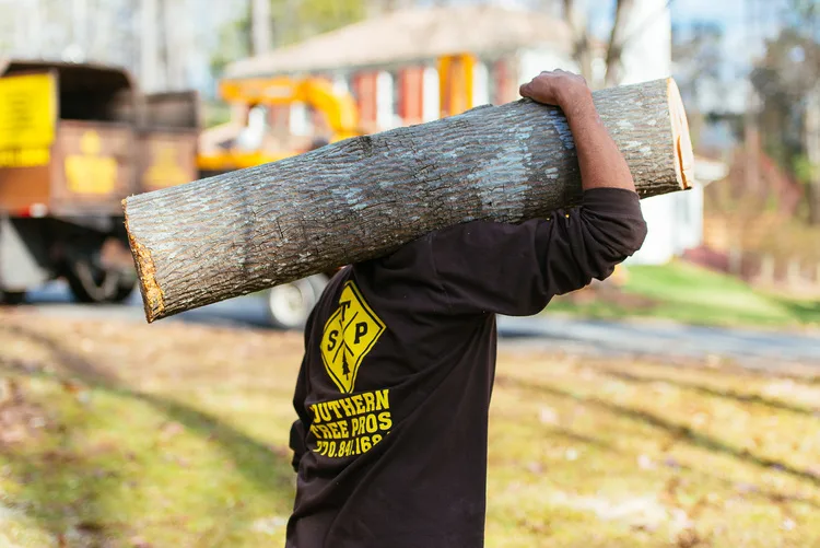 Southern Tree Pros