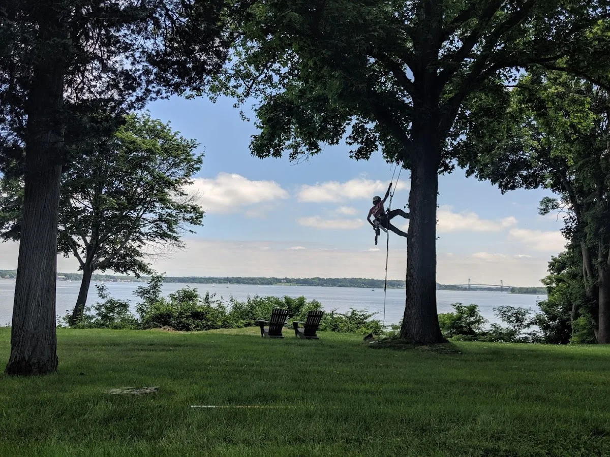 Stanley Tree Service, Inc