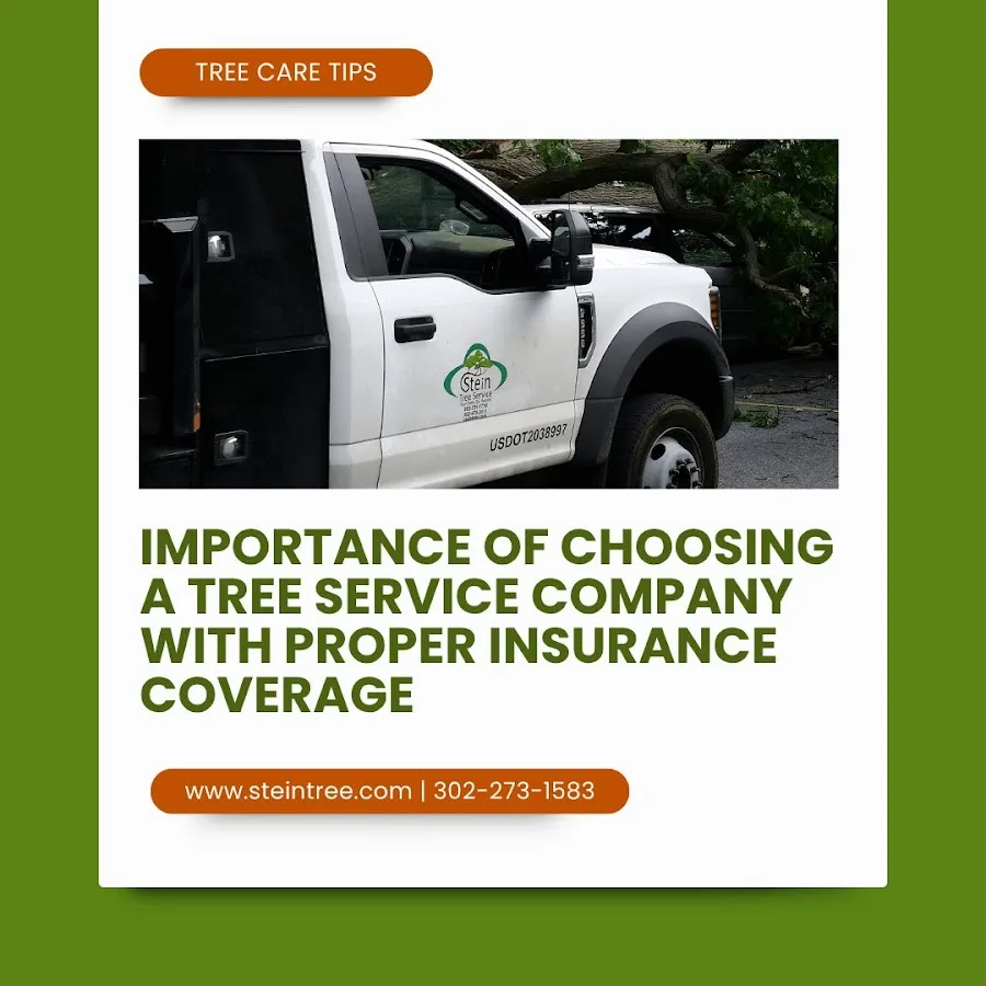 Stein Tree Service gallery 2
