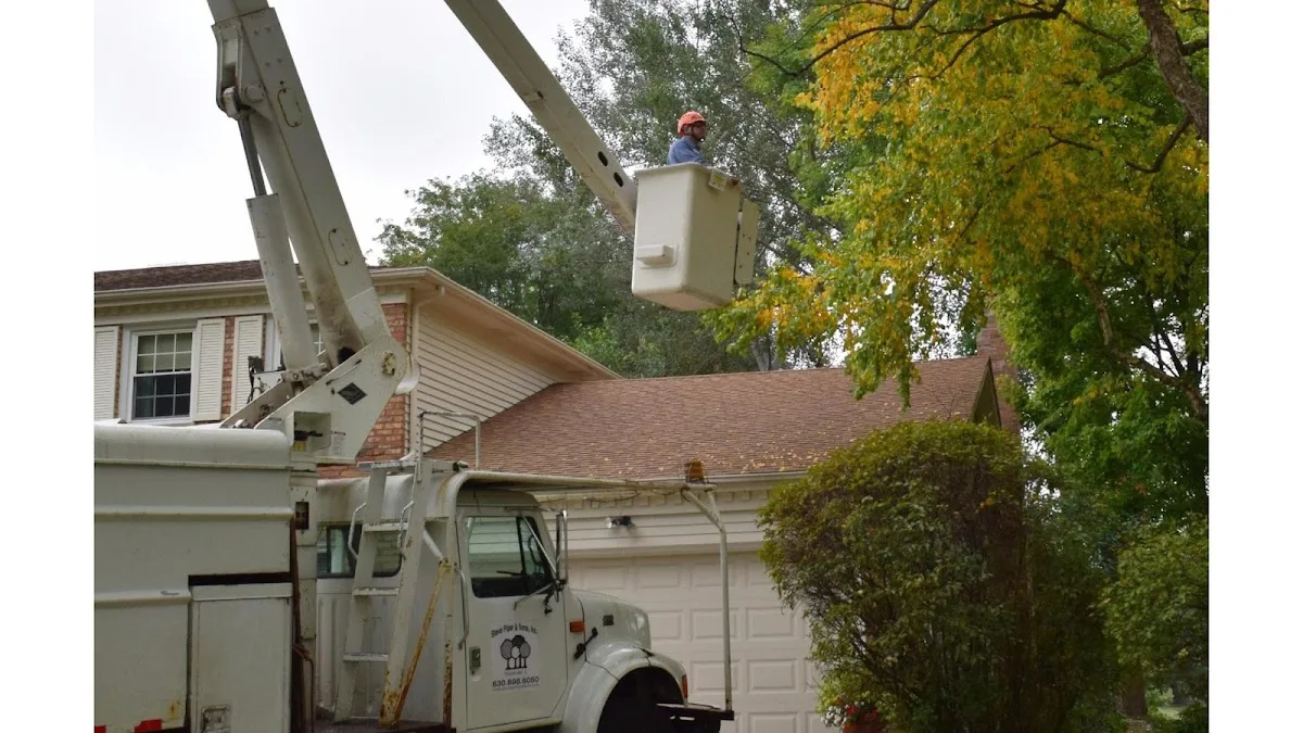 Steve Piper & Sons Tree Service gallery 2