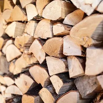 Steve Piper & Sons Tree Service gallery 5