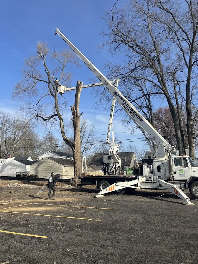 Steve's Tree Services, Landscape, Hauling & Excavating