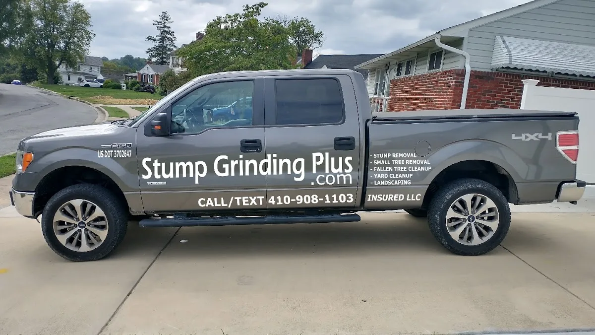 Stump Grinding Plus