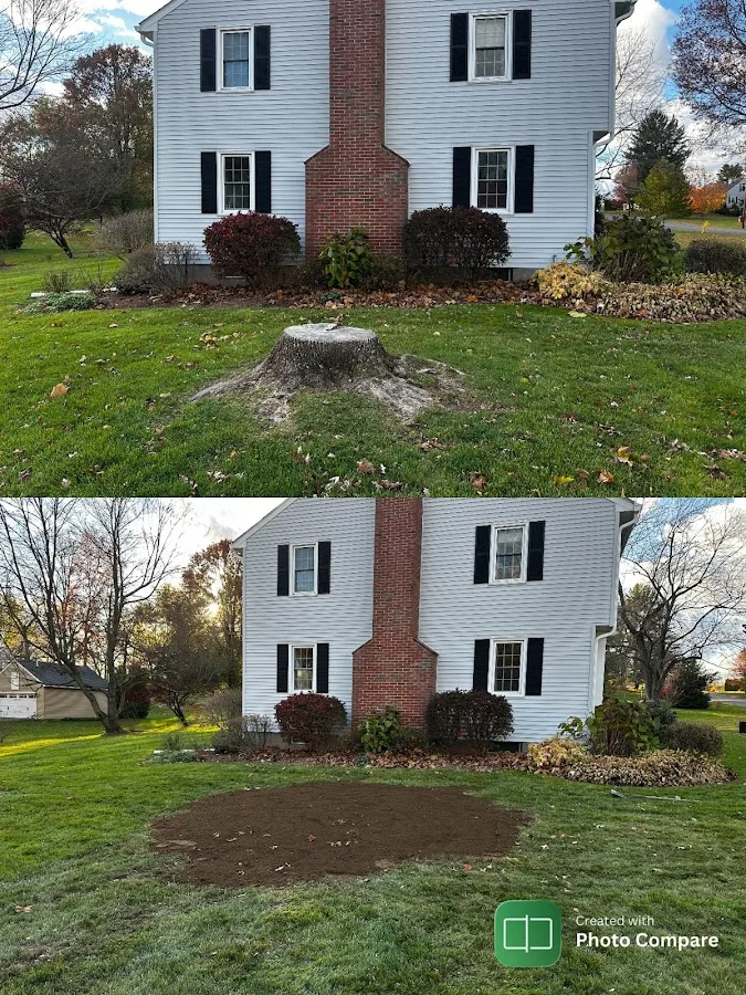 Stump "OFF" LLC Stump Grinding work site
