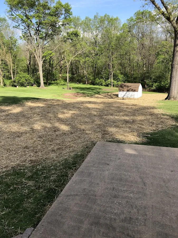 Stump Removal Guys LLC.